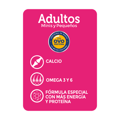 Champion Dog Adulto Raza Pequeña 3 kg